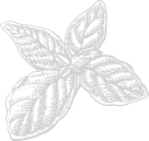 Julia & Sofia’s flower 7